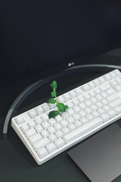 Black white computer keyboard on the table
